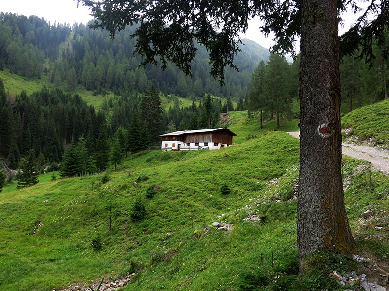 Schafseitenspitze